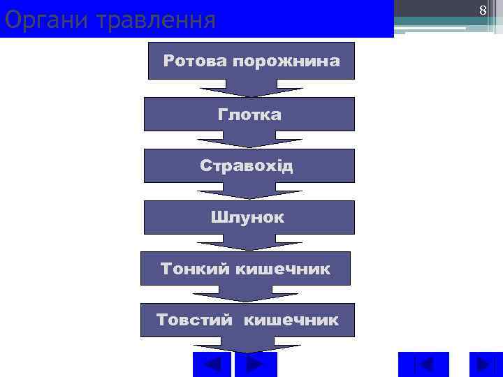 8 Органи травлення Ротова порожнина Глотка Стравохід Шлунок Тонкий кишечник Товстий кишечник 
