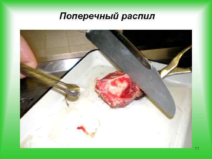 Поперечный распил 11 