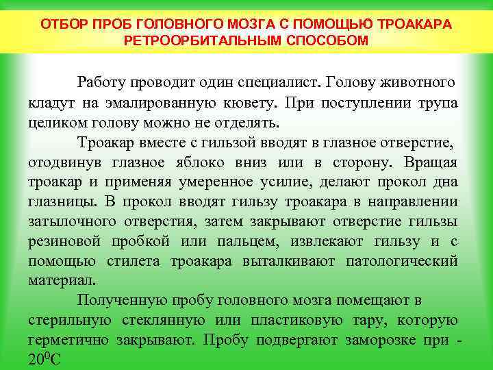 ОТБОР ПРОБ ГОЛОВНОГО МОЗГА С ПОМОЩЬЮ ТРОАКАРА РЕТРООРБИТАЛЬНЫМ СПОСОБОМ Работу проводит один специалист. Голову