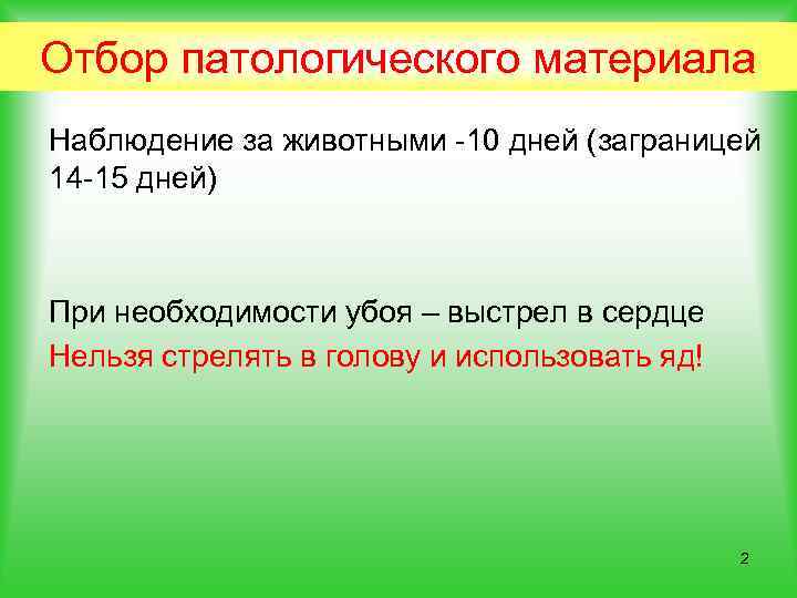 Отбор патологического материала Наблюдение за животными -10 дней (заграницей 14 -15 дней) При необходимости