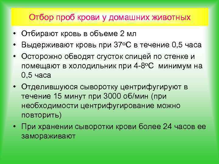 Отбор проб крови у домашних животных • Отбирают кровь в объеме 2 мл •