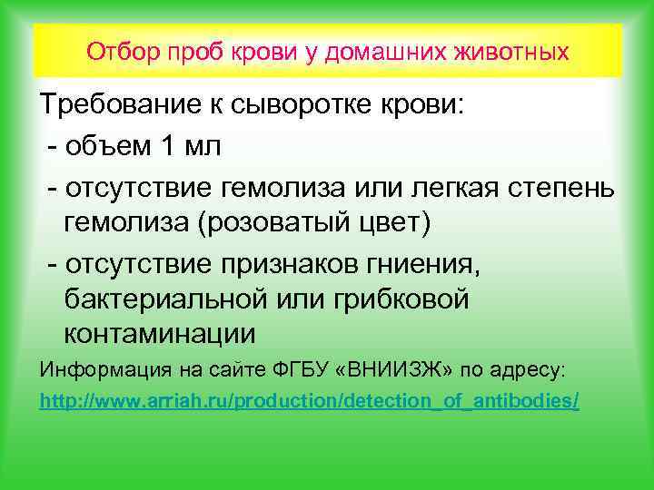 Отбор проб крови у домашних животных Требование к сыворотке крови: - объем 1 мл