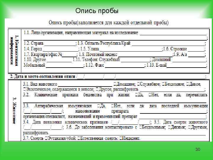 Опись пробы 30 