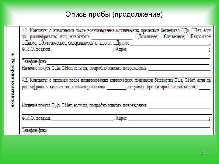 Опись пробы (продолжение) 31 
