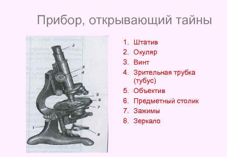Прибор, открывающий тайны 1. 2. 3. 4. 5. 6. 7. 8. Штатив Окуляр Винт