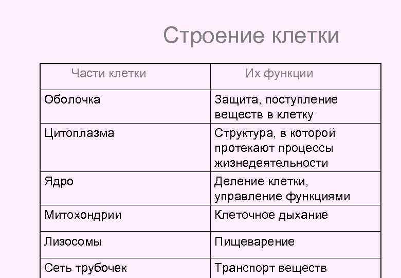 Строение клетки Части клетки Их функции Оболочка Защита, поступление веществ в клетку Цитоплазма Структура,