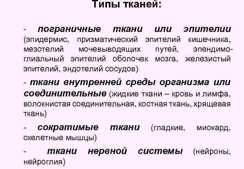 Типы тканей: - пограничные ткани или эпителии (эпидермис, призматический эпителий кишечника, мезотелий мочевыводящих путей,