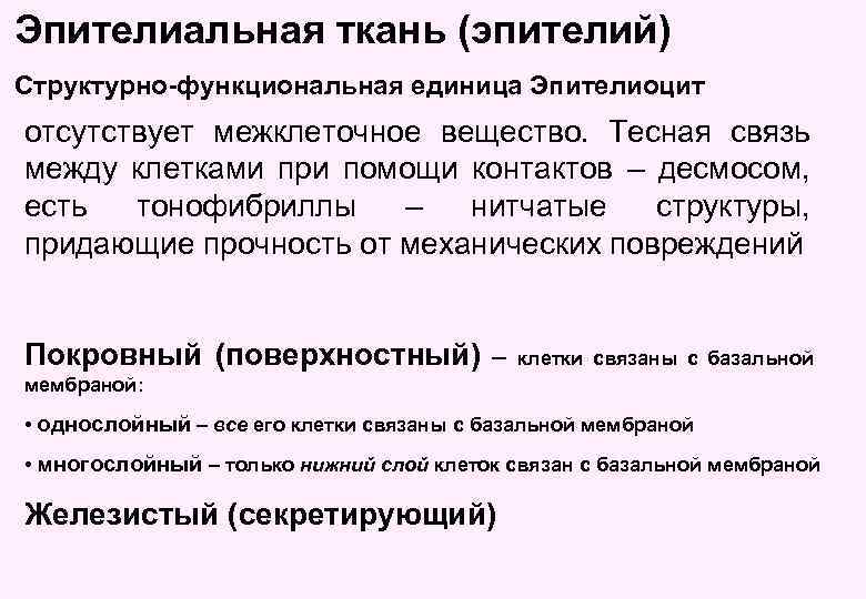 Эпителиальная ткань (эпителий) Структурно-функциональная единица Эпителиоцит отсутствует межклеточное вещество. Тесная связь между клетками при