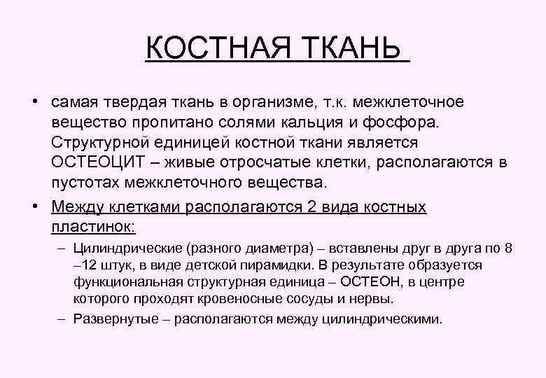 КОСТНАЯ ТКАНЬ • самая твердая ткань в организме, т. к. межклеточное вещество пропитано солями