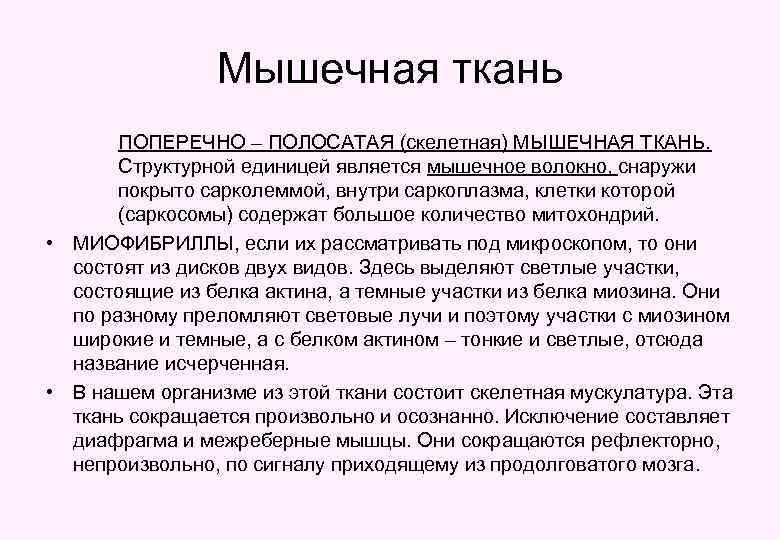 Мышечная ткань ПОПЕРЕЧНО – ПОЛОСАТАЯ (скелетная) МЫШЕЧНАЯ ТКАНЬ. Структурной единицей является мышечное волокно, снаружи