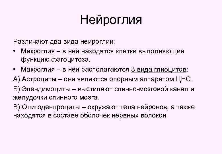 Нейроглия Различают два вида нейроглии: • Микроглия – в ней находятся клетки выполняющие функцию