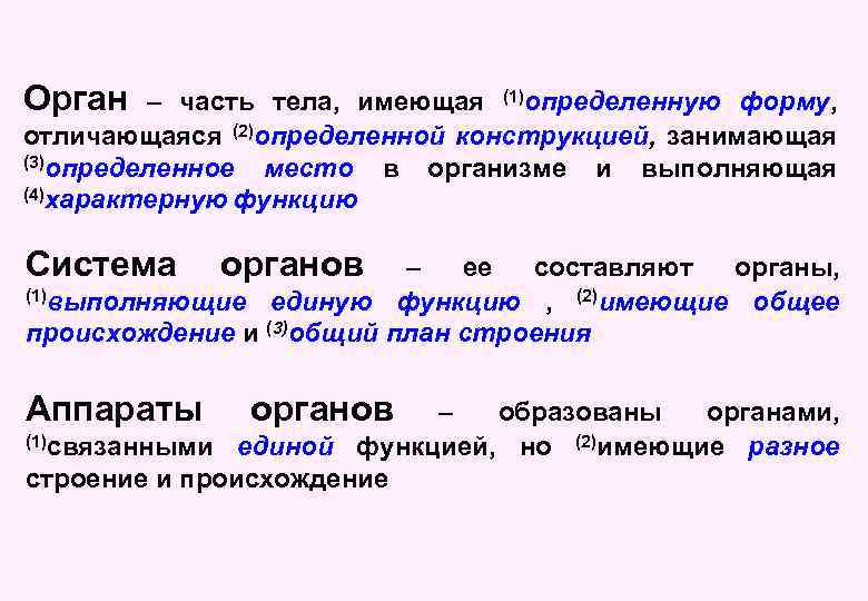 Орган – часть тела, имеющая (1)определенную форму, отличающаяся (2)определенной конструкцией, занимающая (3)определенное место в