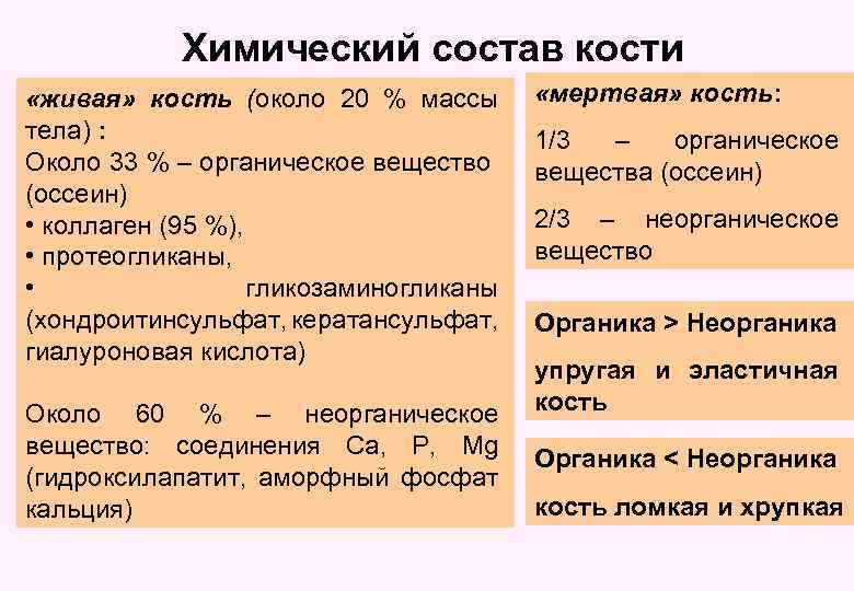 Химический состав кости «живая» кость (около 20 % массы тела) : Около 33 %