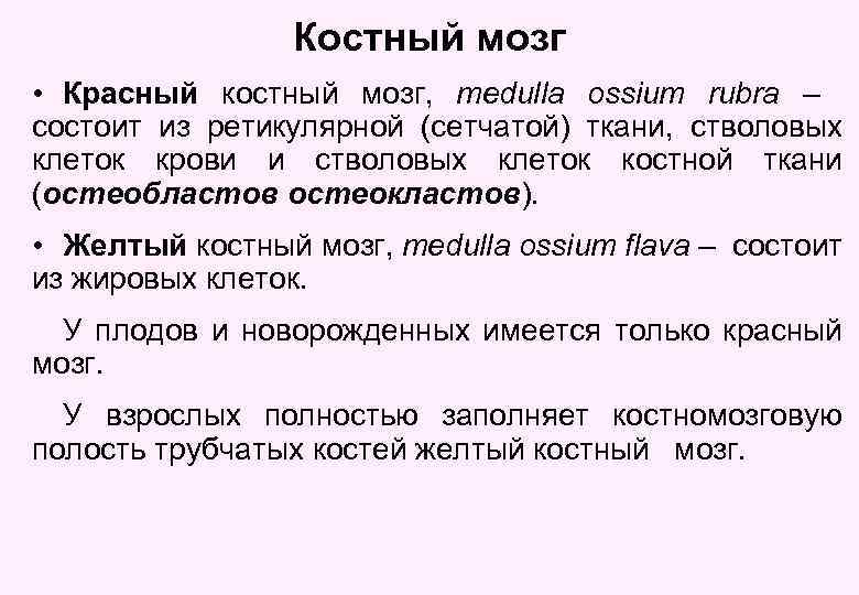 Костный мозг • Красный костный мозг, medulla ossium rubra – состоит из ретикулярной (сетчатой)