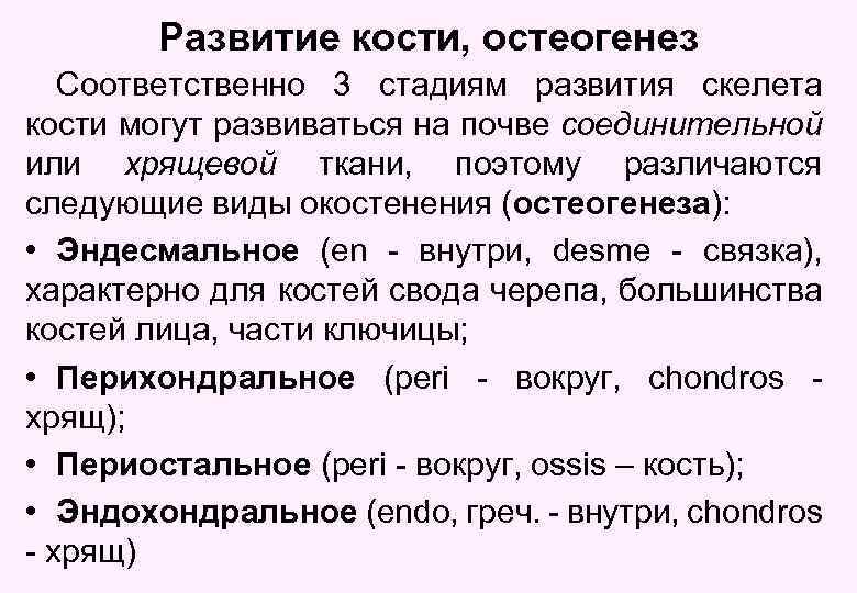 Развитие кости, остеогенез Соответственно 3 стадиям развития скелета кости могут развиваться на почве соединительной