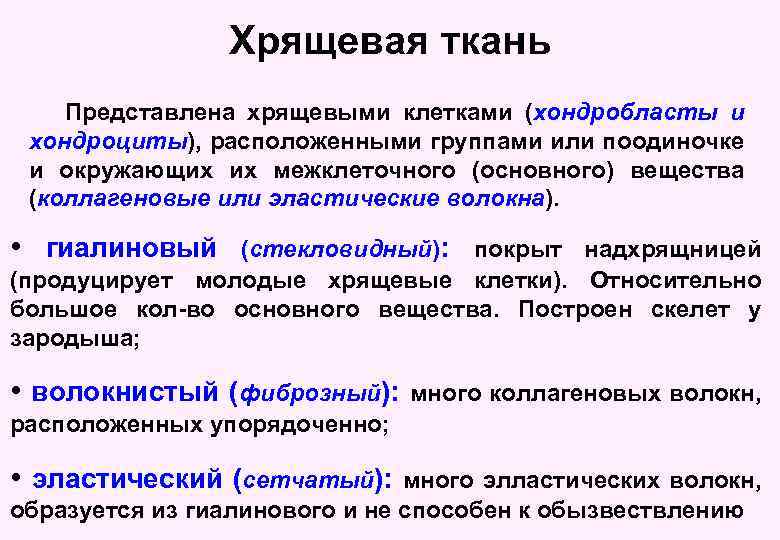Хрящевая ткань Представлена хрящевыми клетками (хондробласты и хондроциты), расположенными группами или поодиночке и окружающих