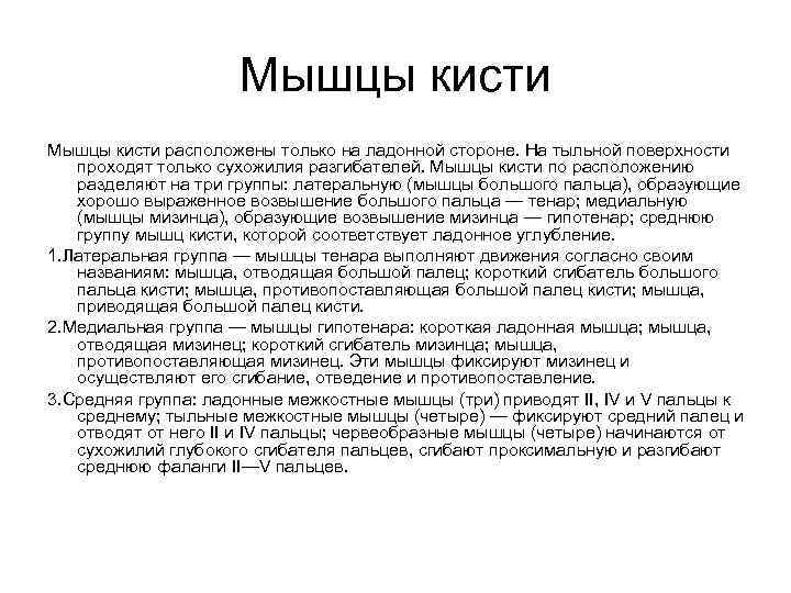 Мышцы кисти расположены только на ладонной стороне. На тыльной поверхности проходят только сухожилия разгибателей.