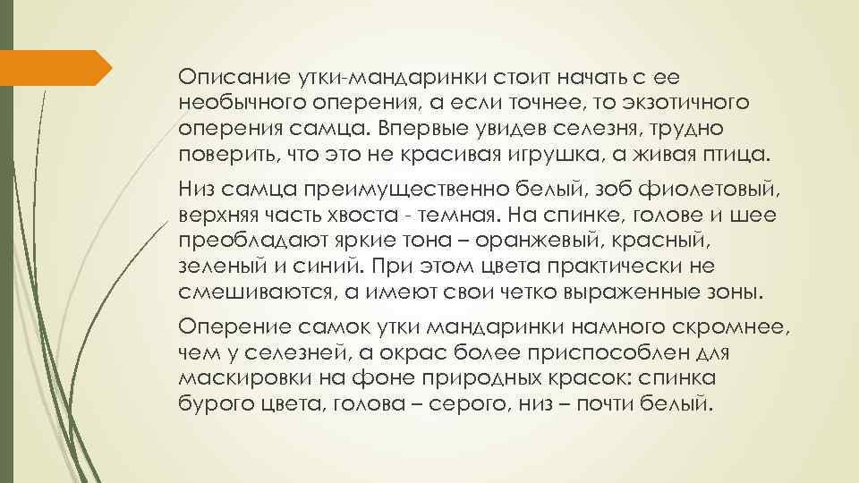 Описание утки-мандаринки стоит начать с ее необычного оперения, а если точнее, то экзотичного оперения