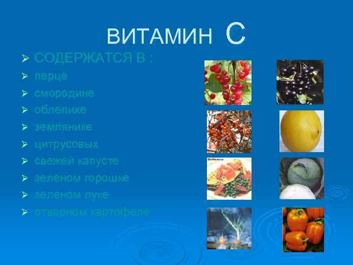 ВИТАМИН Ø СОДЕРЖАТСЯ В : Ø перце смородине облепихе землянике цитрусовых свежей капусте зеленом