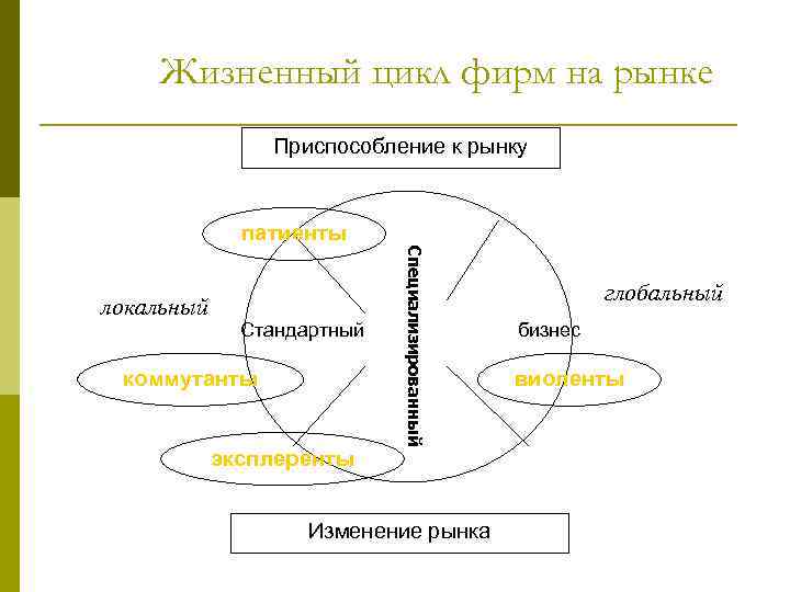 Жизненный цикл фирм на рынке Приспособление к рынку локальный Стандартный коммутанты эксплеренты Специализированный патиенты