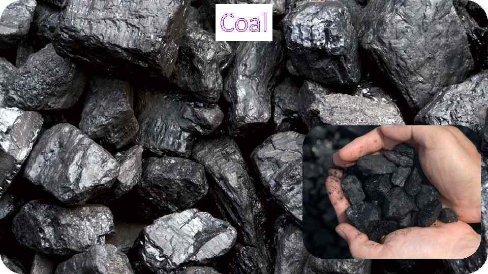 Coal 