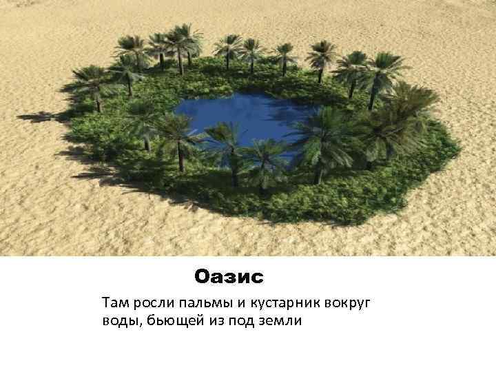 Оазис Там росли пальмы и кустарник вокруг воды, бьющей из под земли 