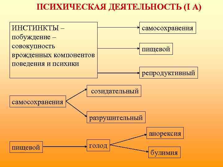 ПСИХИЧЕСКАЯ ДЕЯТЕЛЬНОСТЬ (I А) ИНСТИНКТЫ – побуждение – совокупность врожденных компонентов поведения и психики