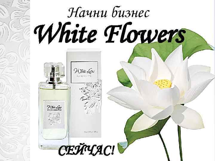 Начни бизнес White Flowers СЕЙЧАС! 