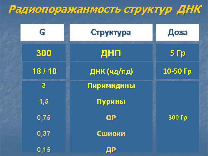 Радиопоражанмость структур ДНК G Структура Доза 300 ДНП 5 Гр 18 / 10 ДНК