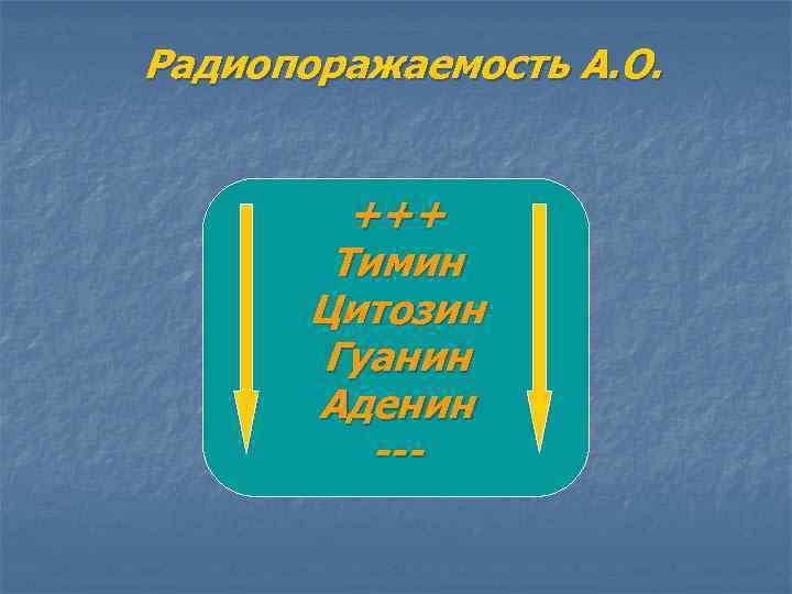 Радиопоражаемость А. О. +++ Тимин Цитозин Гуанин Аденин --- 