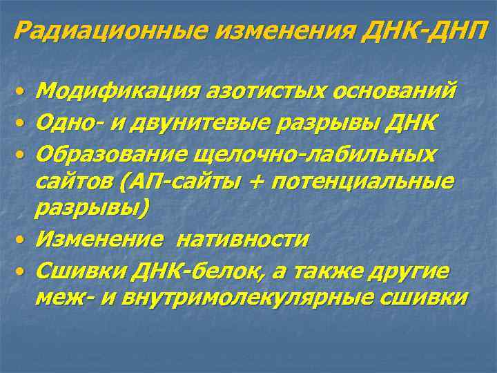 Радиационные изменения ДНК-ДНП • Модификация азотистых оснований • Одно- и двунитевые разрывы ДНК •