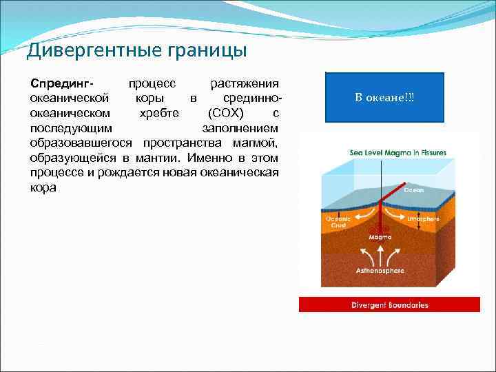 Дивергентные границы Спрединг- процесс растяжения океанической коры в срединноокеаническом хребте (СОХ) с последующим заполнением