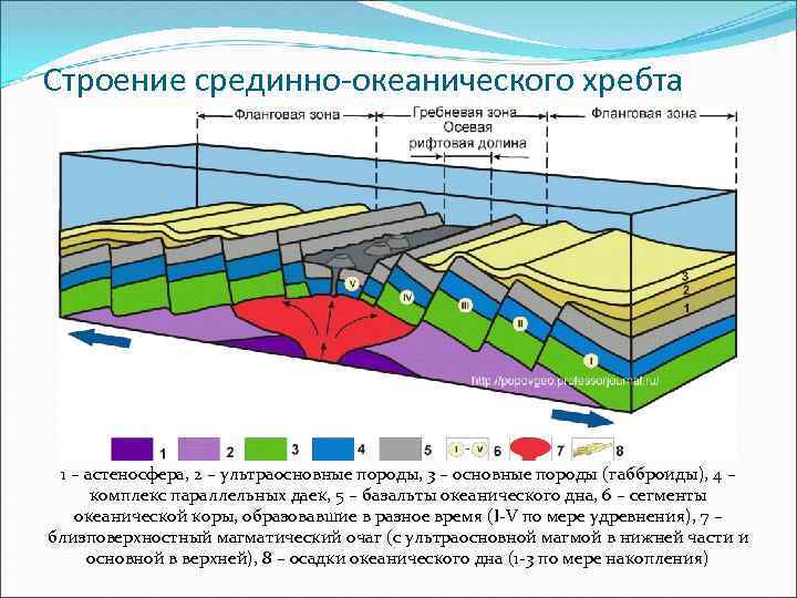 Срединно океанический хребет это