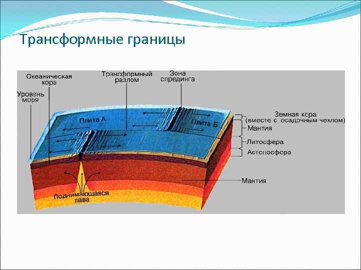 Положение на границе континентальной и океанической плит схема