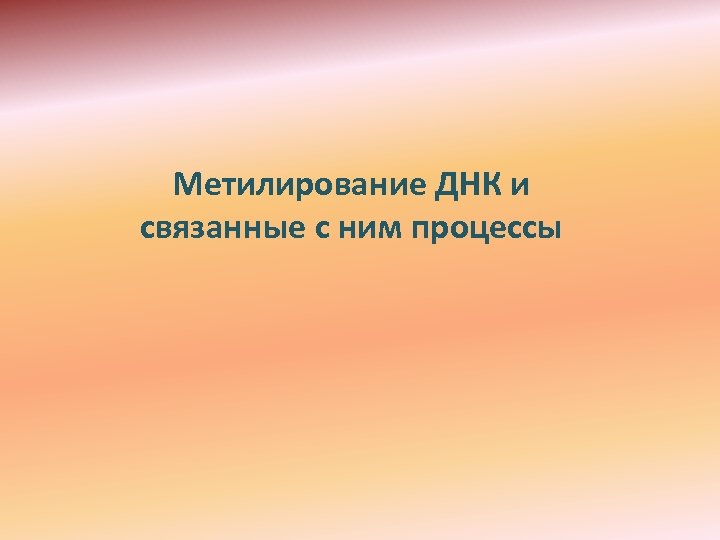 Метилирование ДНК и связанные с ним процессы 