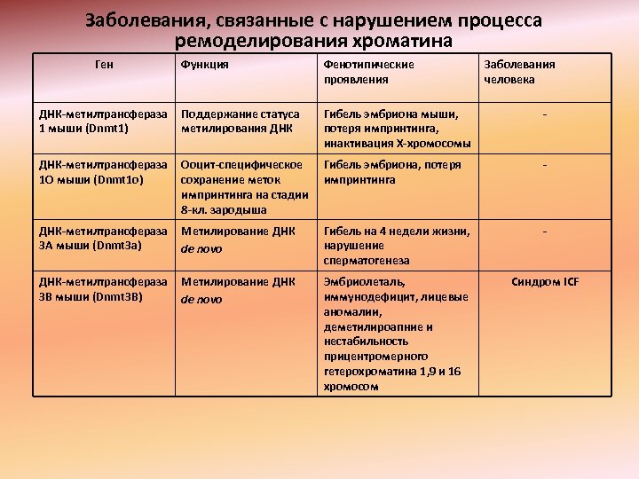 Заболевания, связанные с нарушением процесса ремоделирования хроматина Ген Функция ДНК-метилтрансфераза Поддержание статуса 1 мыши