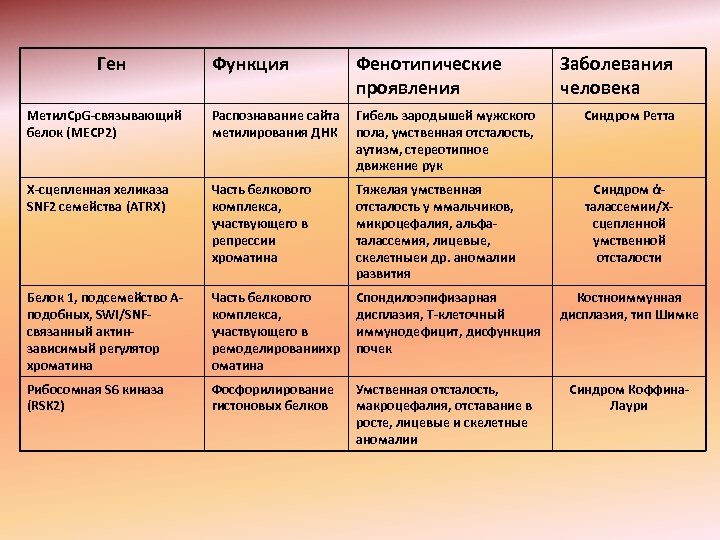 Ген Функция Фенотипические проявления Заболевания человека Метил. Cp. G-связывающий белок (MECP 2) Распознавание сайта