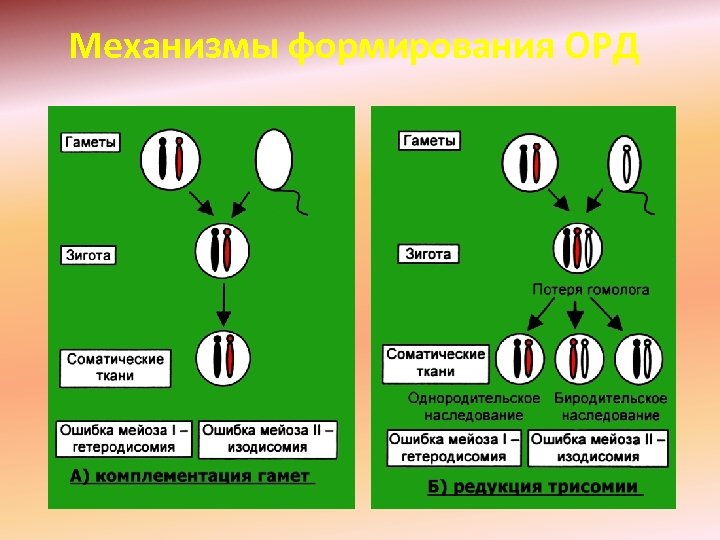 Механизмы формирования ОРД 