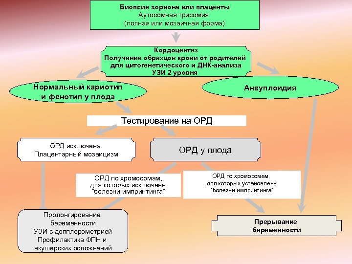 Биопсия хориона или плаценты Аутосомная трисомия (полная или мозаичная форма) Кордоцентез Получение образцов крови