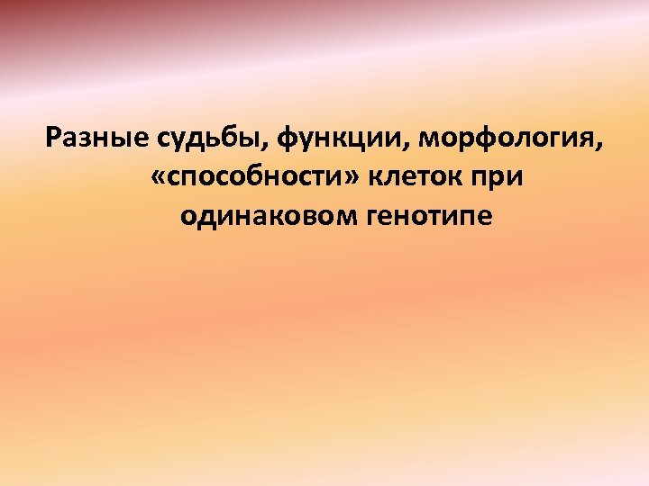 Разные судьбы, функции, морфология, «способности» клеток при одинаковом генотипе 