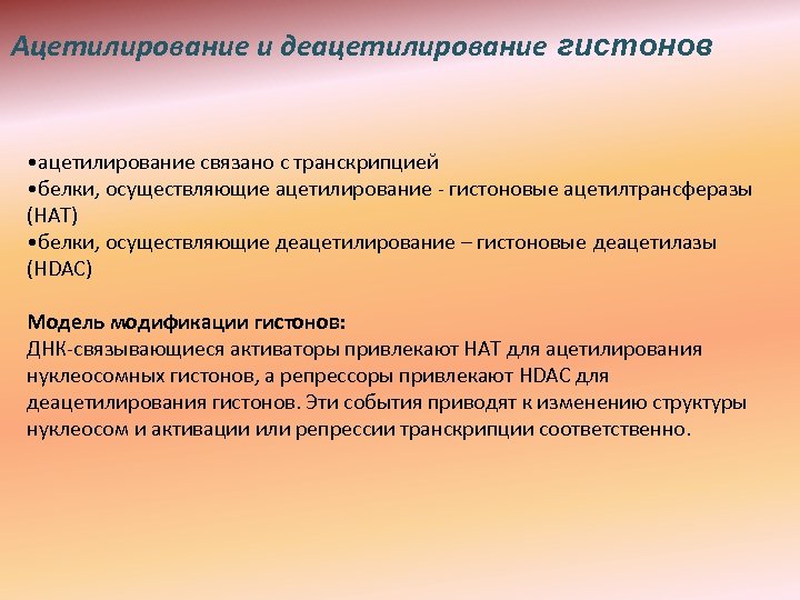 Ацетилирование и деацетилирование гистонов • ацетилирование связано с транскрипцией • белки, осуществляющие ацетилирование -