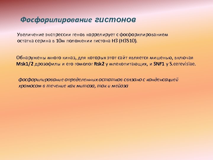 Фосфорилирование гистонов Увеличение экспрессии генов коррелирует с фосфорилированием остатка серина в 10 м положении