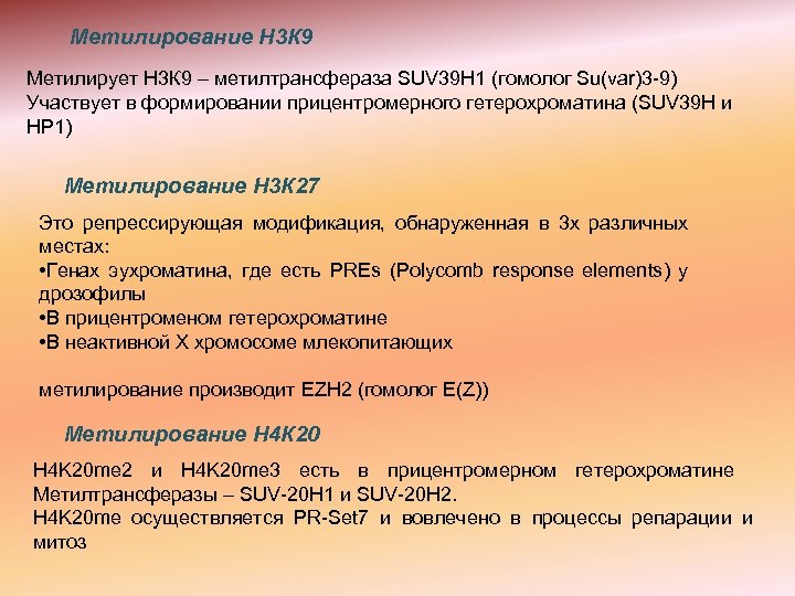 Метилирование Н 3 К 9 Метилирует Н 3 К 9 – метилтрансфераза SUV 39