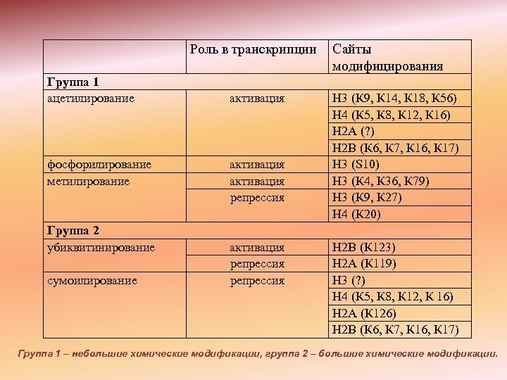 Роль в транскрипции Группа 1 ацетилирование фосфорилирование метилирование Группа 2 убиквитинирование сумоилирование активация репрессия