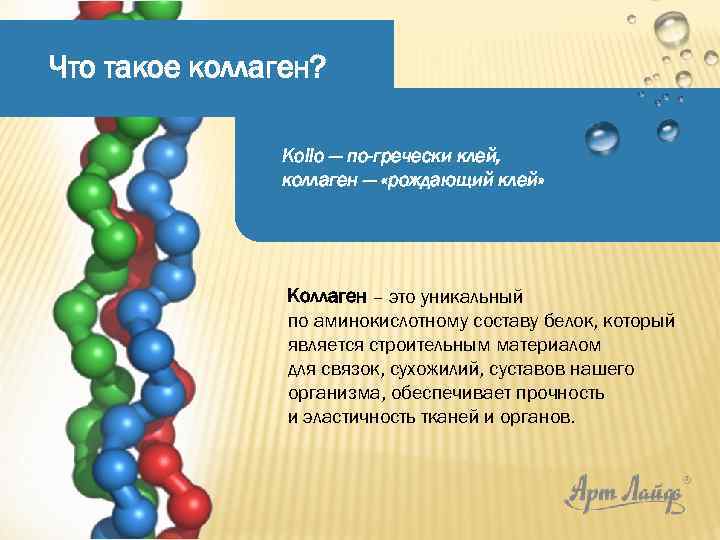 Что такое коллаген? Кollo — по-гречески клей, коллаген — «рождающий клей» Коллаген – это