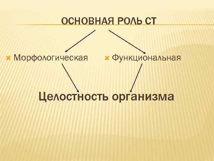 ОСНОВНАЯ РОЛЬ СТ Морфологическая Функциональная Целостность организма 