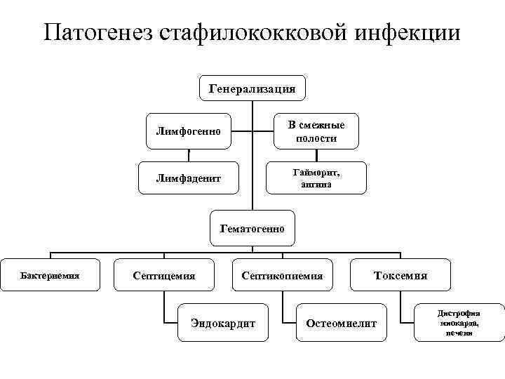 Патогенез стафилококковой инфекции Генерализация Лимфогенно В смежные полости Лимфаденит Гайморит, ангина Гематогенно Бактериемия Септицемия