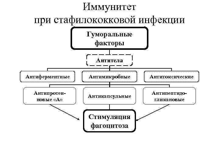 Иммунитет при стафилококковой инфекции Гуморальные факторы Антитела Антиферментные Антипротеиновые «А» Антимикробные Антикапсульные Стимуляция фагоцитоза