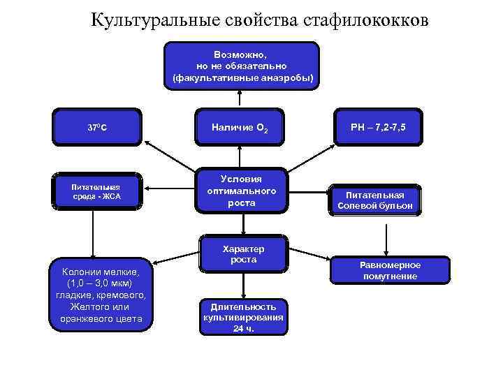 Культуральные свойства стафилококков Возможно, но не обязательно (факультативные анаэробы) 370 С Наличие О 2