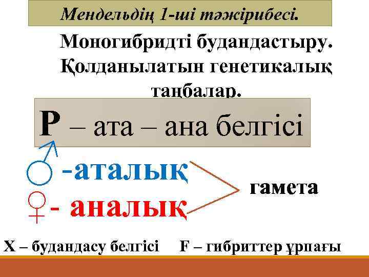 Мендельдің 1 -ші тәжірибесі. Моногибридті будандастыру. Қолданылатын генетикалық таңбалар. Р – ата – ана